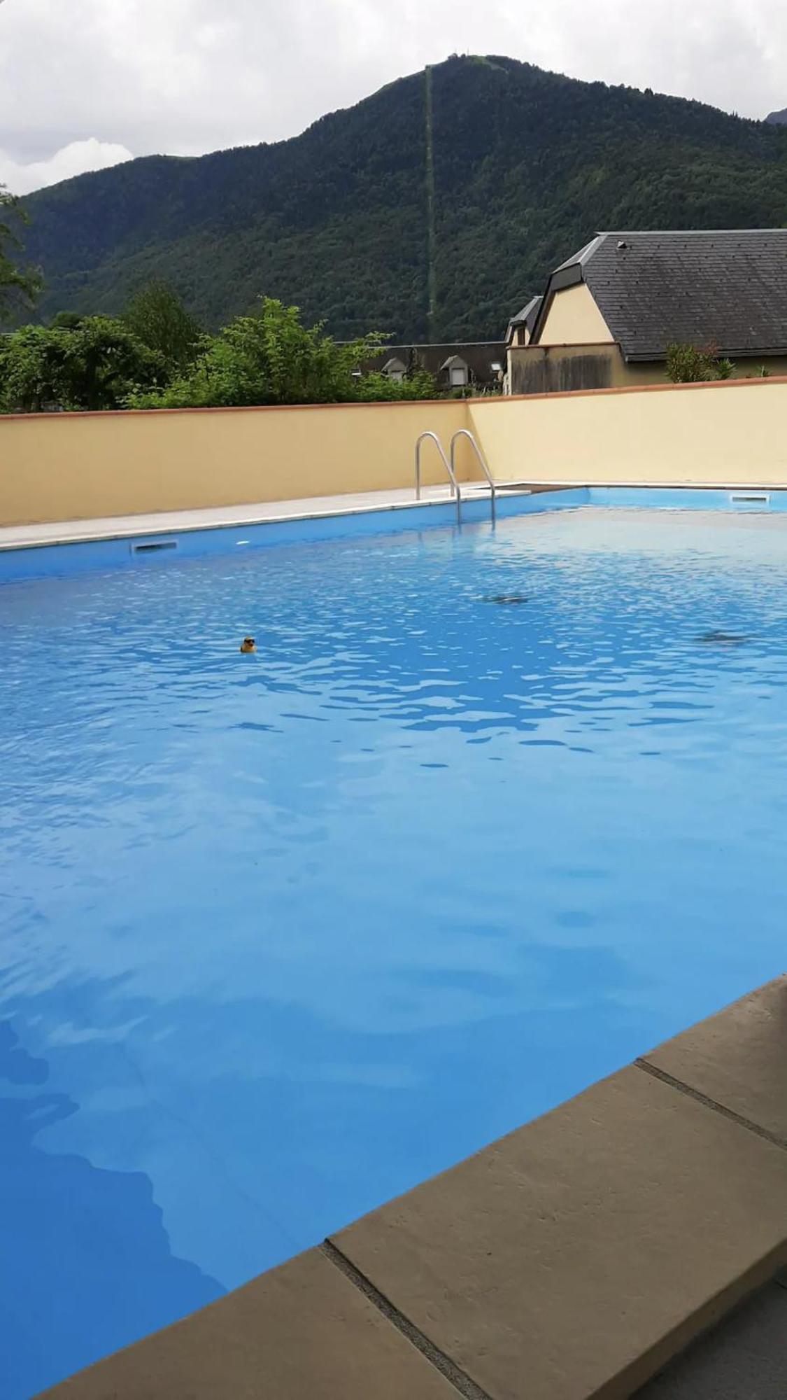 Appart T 3 Bagneres-De-Luchon Vue Montagne - Piscine Mi Juin ภายนอก รูปภาพ